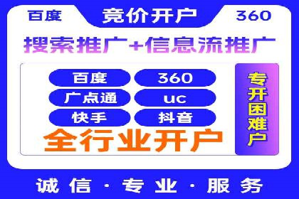 某行业领军企业的SEM广告投放策略
